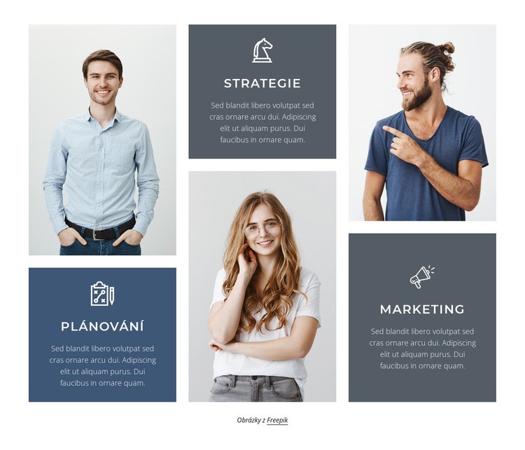 Plánování, strategie a marketing Šablona webové stránky