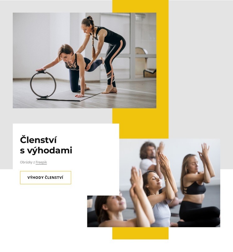 Členství ve sportovním klubu s výhodami Téma WordPress