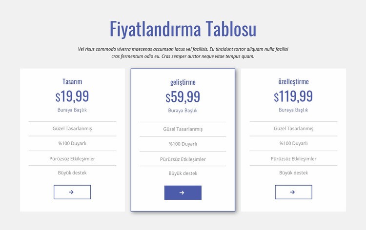 Temiz fiyat tablosu Html Web Sitesi Oluşturucu