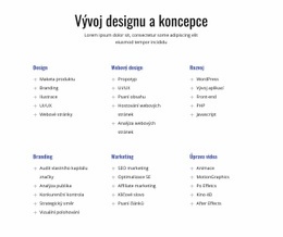 Vývoj Designu A Koncepce – Přizpůsobitelná Šablona
