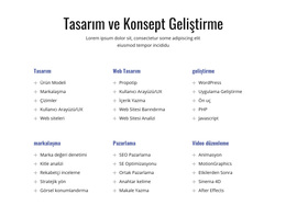 Tasarım Ve Konsept Geliştirme - Çok Amaçlı WordPress Teması