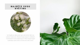 Najděte Svou Květinu – Responzivní Web