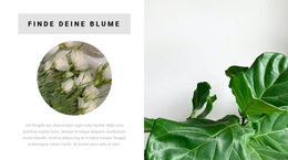 Finde Deine Blume - Kostenlose HTML5-Theme-Vorlagen