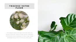 Trouvez Votre Fleur - Website Creation HTML