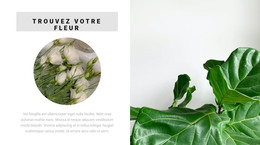 Trouvez Votre Fleur - Site Web Réactif