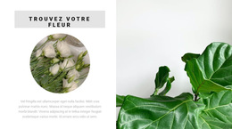 Trouvez Votre Fleur - Modèles De Thèmes HTML5 Gratuits