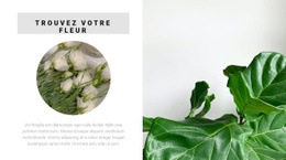 Trouvez Votre Fleur - Site De Démarrage