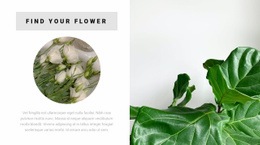 Find Your Flower - Responsive Website