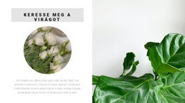 Keresse Meg A Virágot – Professzionális Tervezés