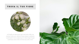 Trova Il Tuo Fiore - Tema WordPress Pronto Per L'Uso