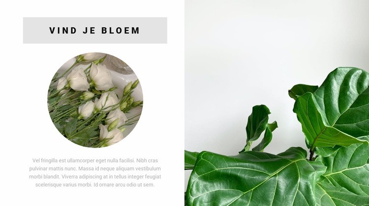 Vind je bloem Website mockup