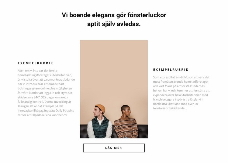 Två partners Hemsidedesign