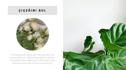 Çiçeğini Bul - Duyarlı Web Sitesi