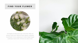Find Your Flower Website Design