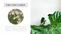 Find Your Flower - Free Html5 Theme Templates