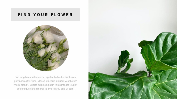 Find your flower Landing Page