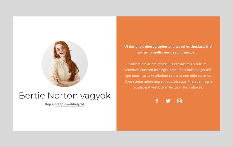 Webfejlesztő vagyok WordPress Téma