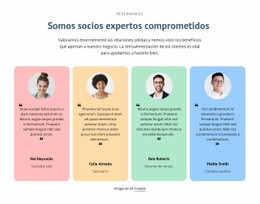 Testimonios Con Celdas Coloreadas - Creador De Sitios Web Sencillo