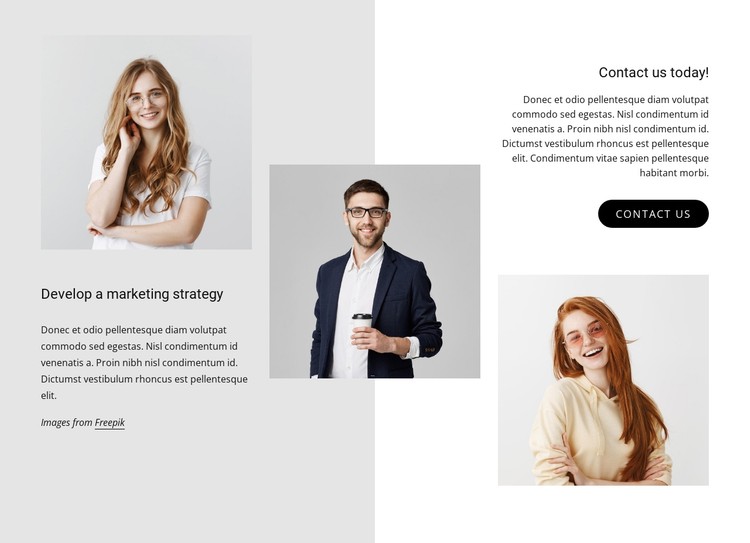 Develop a marketing strategy CSS Template