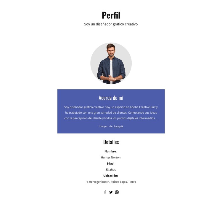 Perfil de diseñador gráfico Plantilla CSS