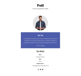 Profil De Graphiste Modèle CSS