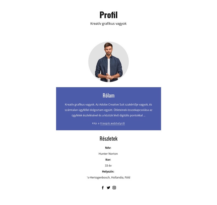 Grafikus tervezői profil Weboldal sablon