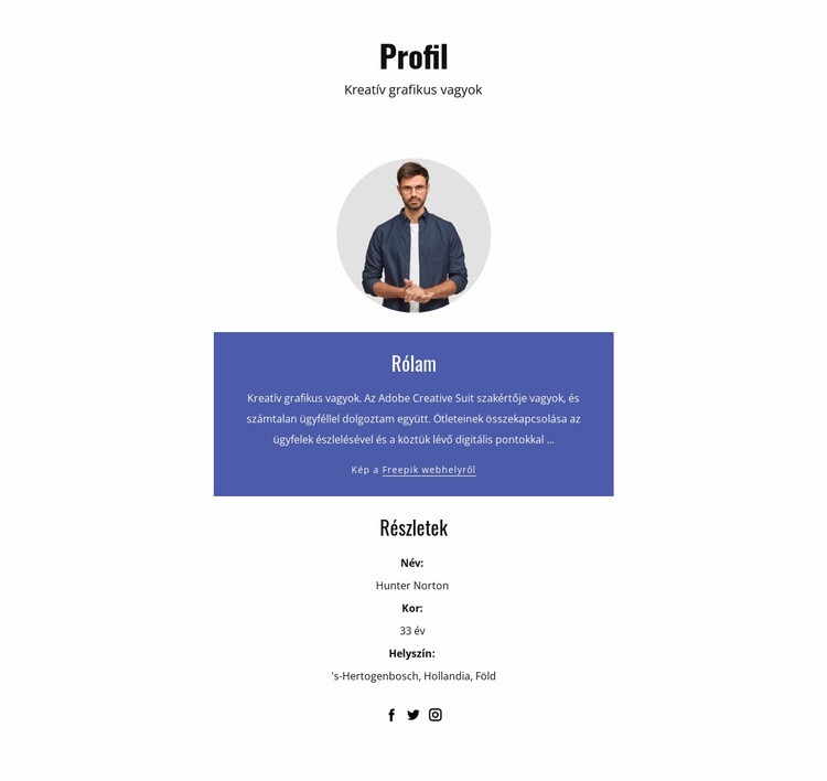 Grafikus tervezői profil Weboldal tervezés