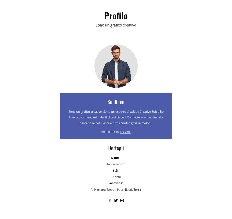 Profilo del grafico Modello di sito Web