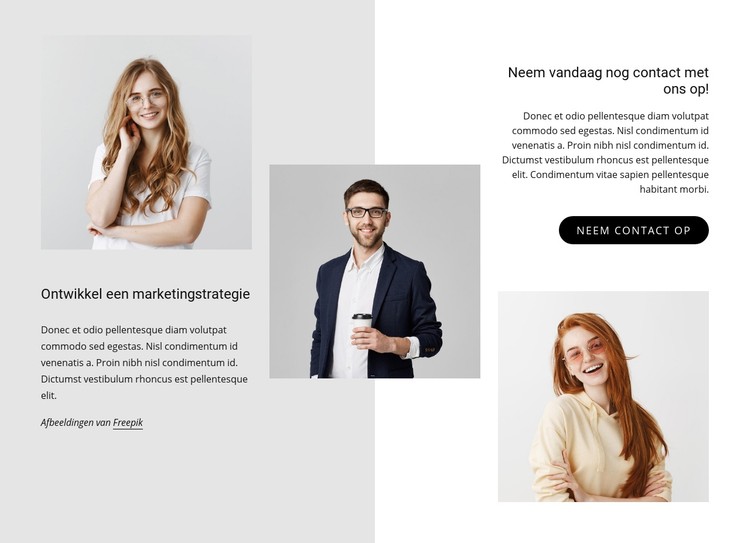 Ontwikkel een marketingstrategie CSS-sjabloon