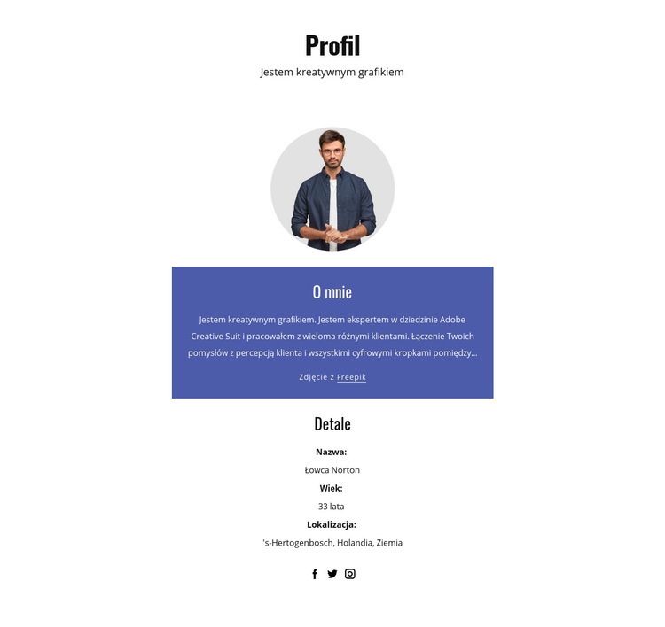 Profil projektanta graficznego Projekt strony internetowej