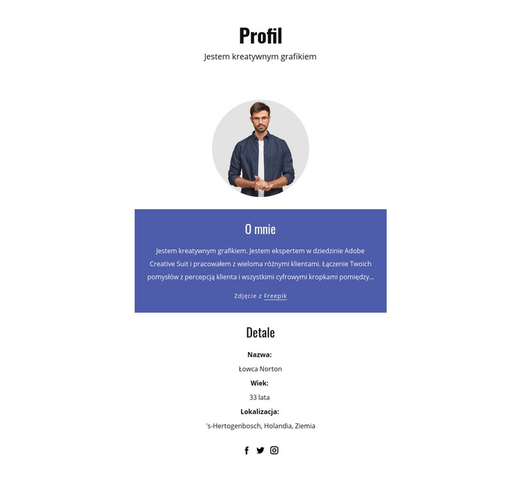 Profil projektanta graficznego Szablon CSS