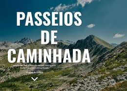 Novos Feriados Pedestres - Tema WordPress Responsivo