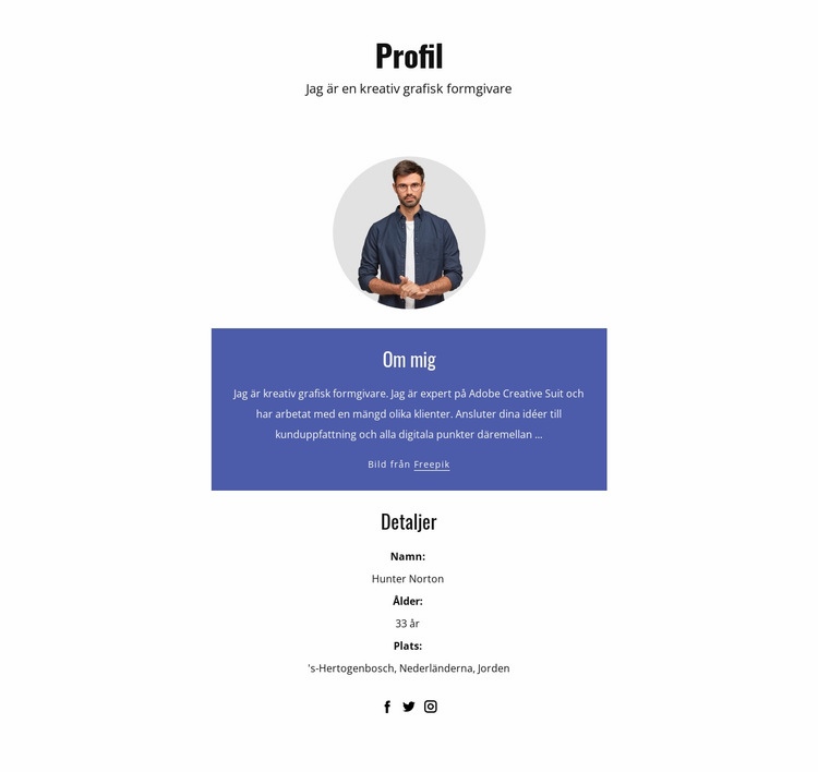 Grafisk designer profil Webbplats mall
