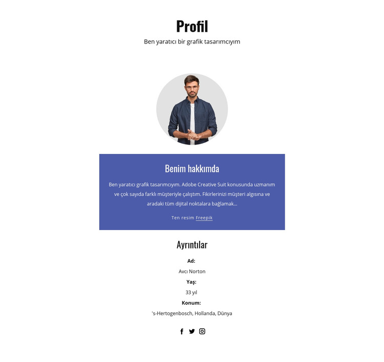 Grafik tasarımcı profili Web Sitesi Şablonu
