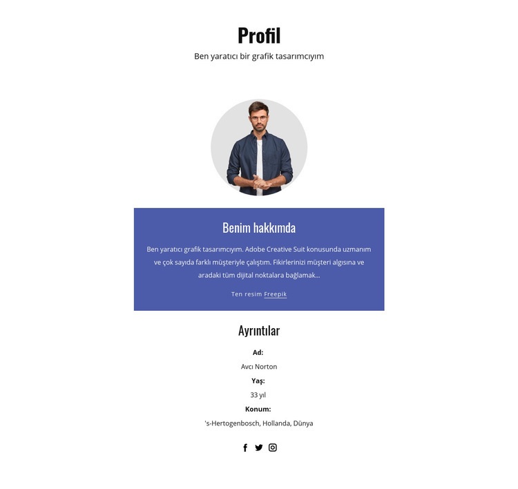 Grafik tasarımcı profili Web sitesi tasarımı