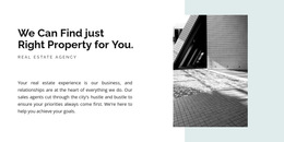 Premium HTML5 Template For Text Picture And Shape