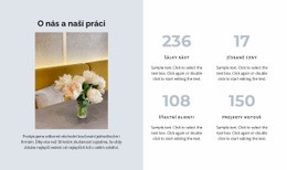 Čtyři Ukazatele Vývoje #Templates-Cs-Seo-One-Item-Suffix