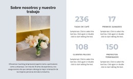 Cuatro Indicadores De Desarrollo - Prototipo De Sitio Web