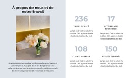 Quatre Indicateurs De Développement Modèle CSS