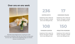 Vier Indicatoren Van Ontwikkeling - Professionele Websitesjabloon