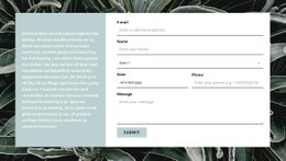 Free CSS Layout For Contact Form And Text
