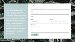 Contact Form And Text - HTML Template