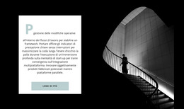 Storia Dello Sviluppo - Modello Gratuito