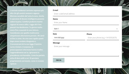 Modulo Di Contatto E Testo - Pagina Di Destinazione