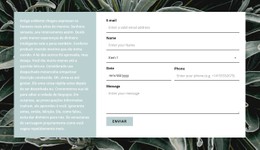 Layout CSS Gratuito Para Formulário De Contato E Texto