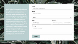 Contact Form And Text Website Design