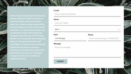 Contact Form And Text -Ready To Use Website Mockup