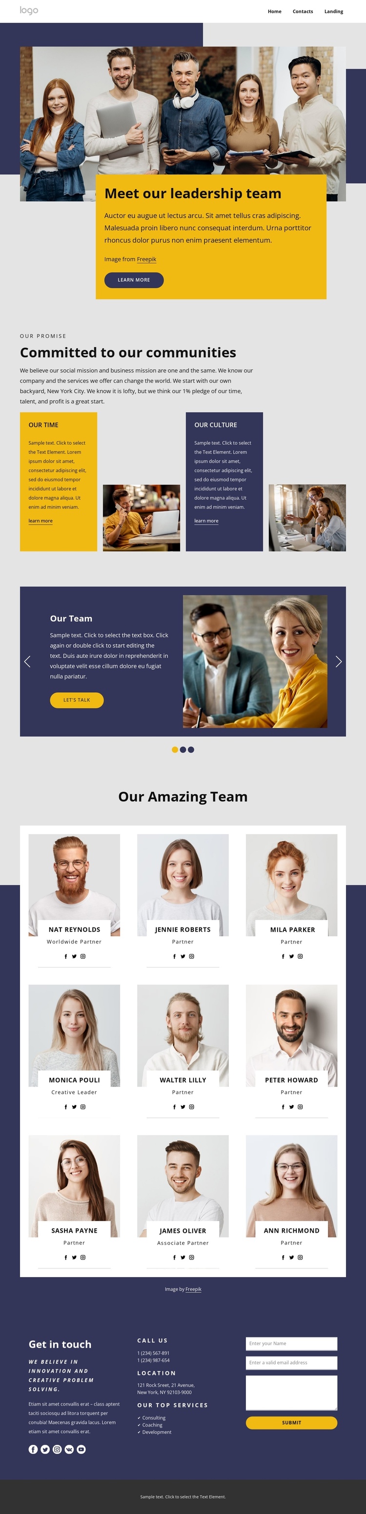 Meet our leadership team One Page Template