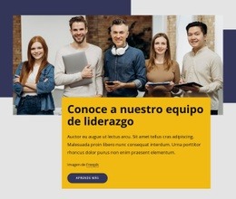 Cree Su Propio Sitio Web Para Profesionales Con Experiencia