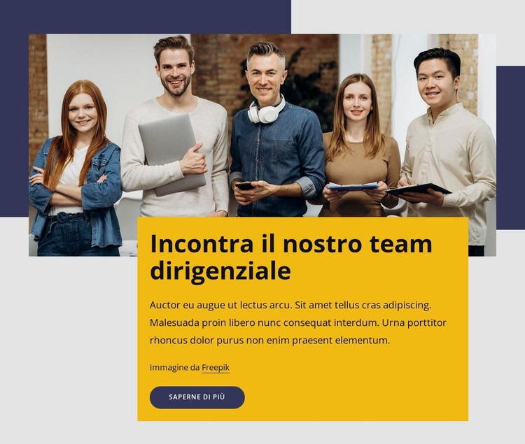 Professionisti esperti Modello HTML